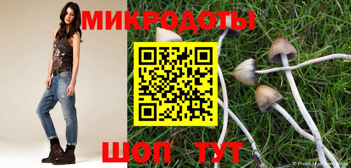 где купить наркоту  Псилоцибиновые грибы прущие грибы  Вход с VPN  Ревда 